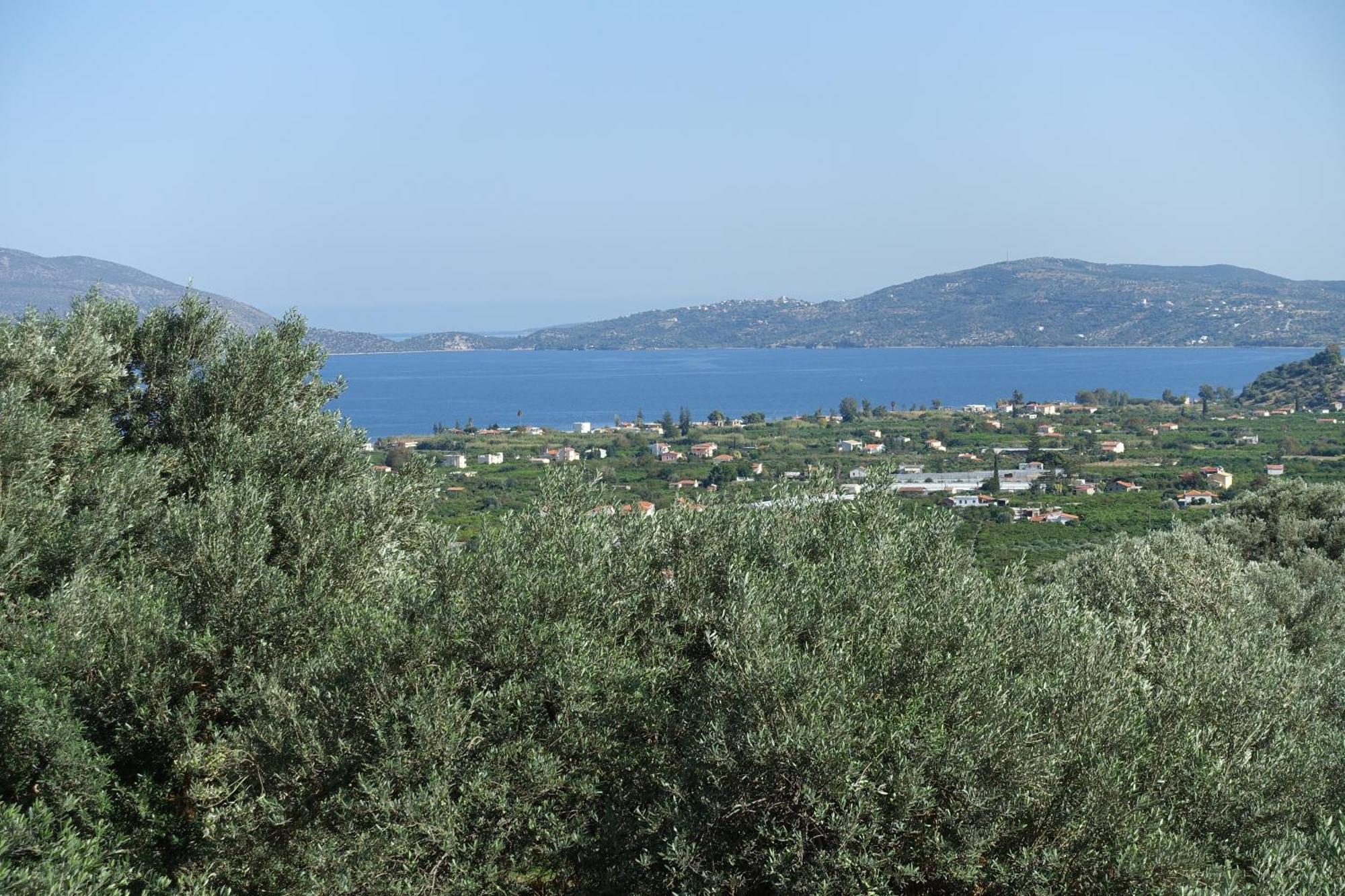 Studio In Villa In Kalloni Direkt Am Meer Eksteriør bilde